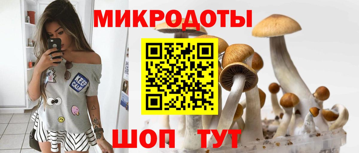 Псилоцибиновые грибы Psilocybe  Вход с VPN  как найти закладки  Улан-Удэ 